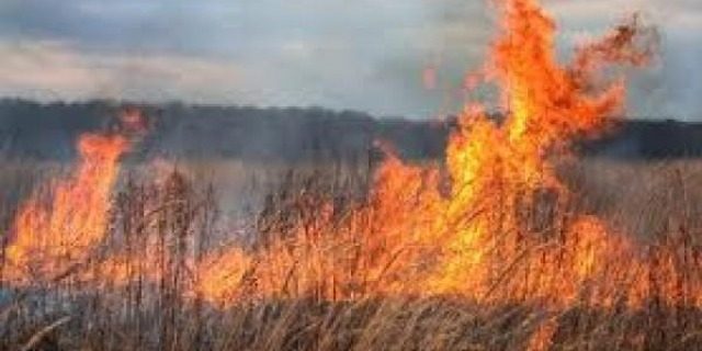 132__incendiu_miriste_big