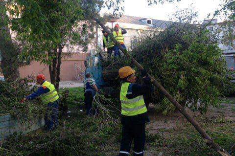 FB_IMG_1493394703516