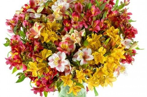 5730_Alstroemeria-Buchet-de-vara-tarzie