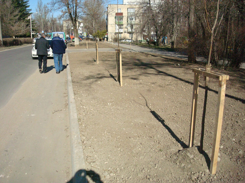 DSC01953